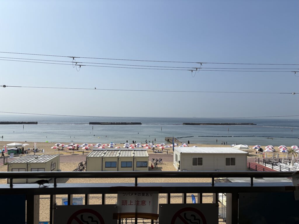 海水浴シーズン真っ只中