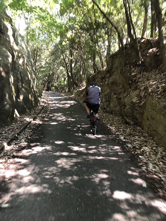 廃線跡の名残りを行く